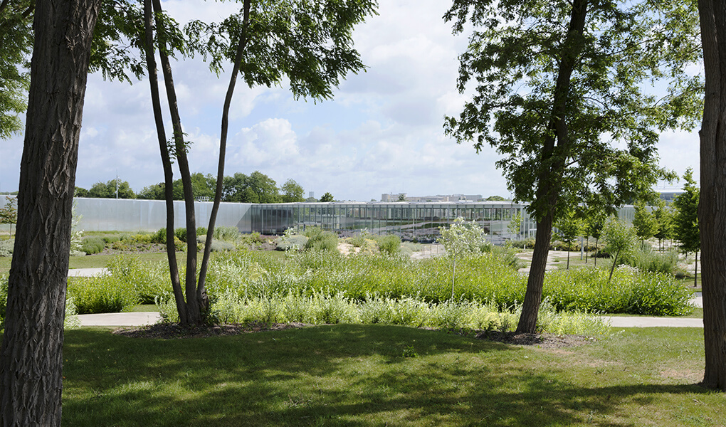 Parc paysager du Louvre-Lens