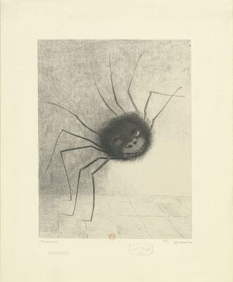 Araignée - Odilon REDON - 1887 © BnF