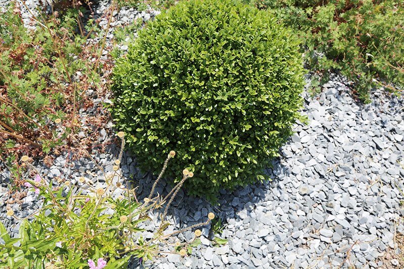 Les 10 commandements du jardinier au potager - Louvre-Lens