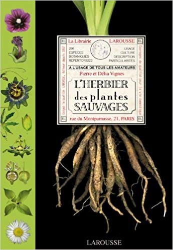 Des livres jeunesse pour apprendre à planter ! - Louvre-Lens