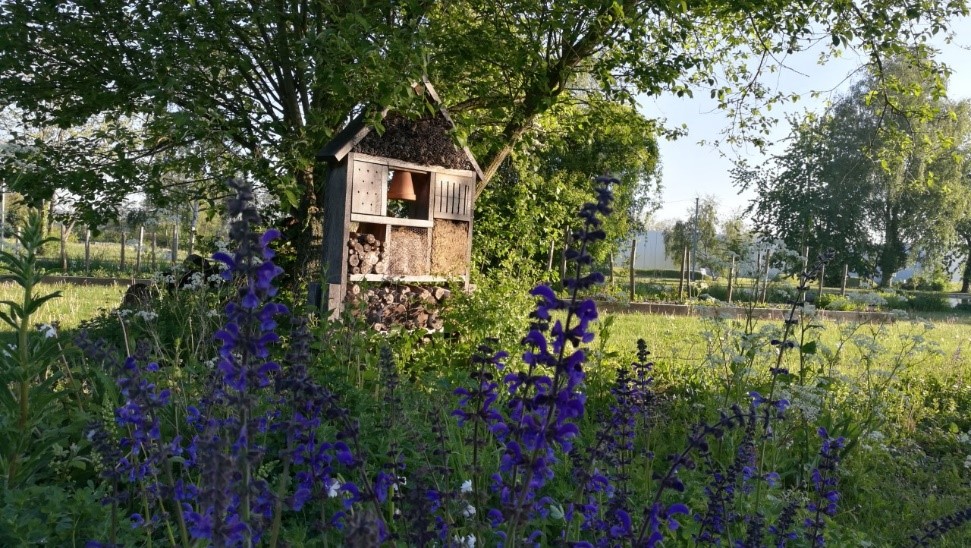 Bricolage au jardin: construire un hôtel à insectes