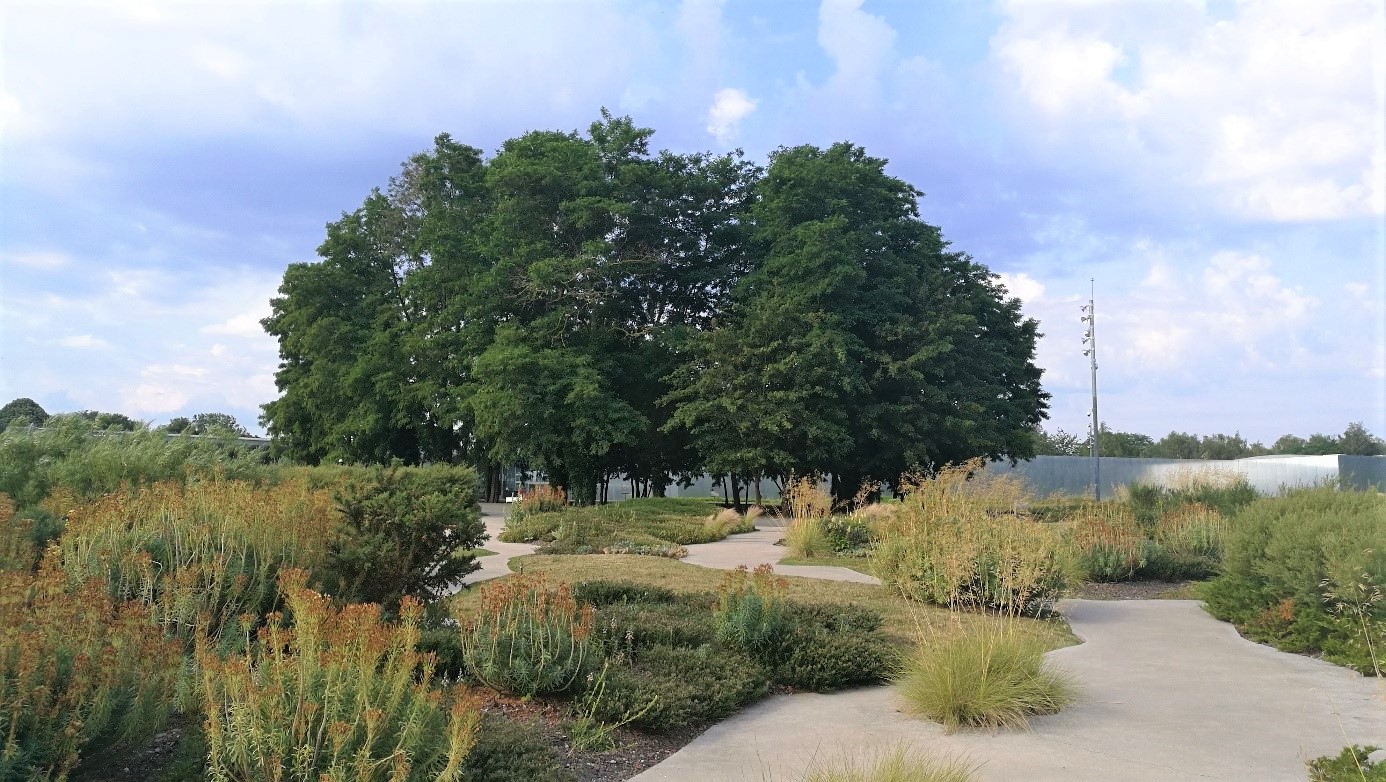 Le puits de mine une entrée monumentale ! LouvreLens
