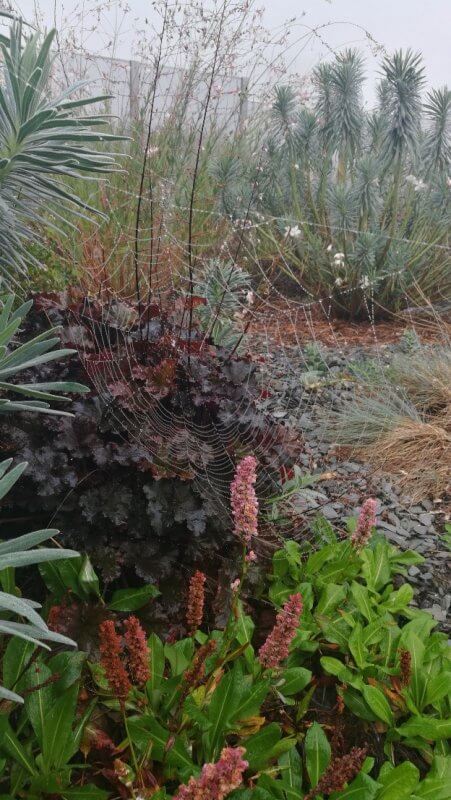 Les 10 commandements du jardinier au potager - Louvre-Lens