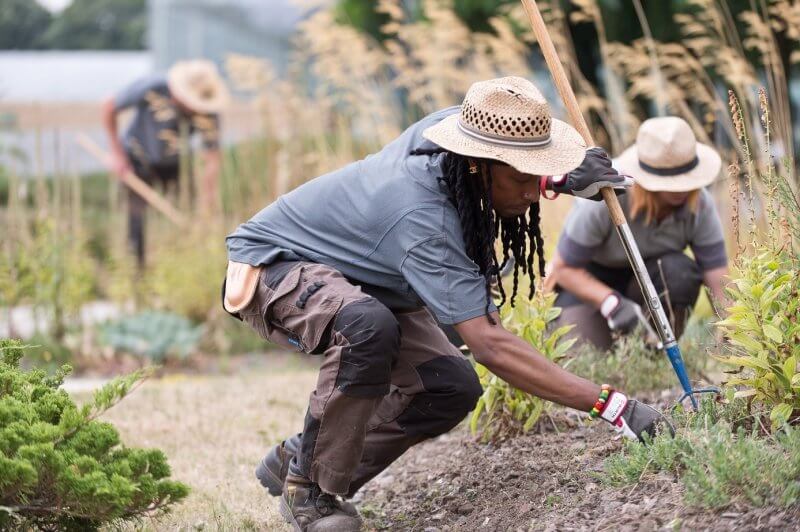 Les 10 commandements du jardinier au potager - Louvre-Lens